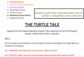 The Turtle Tale