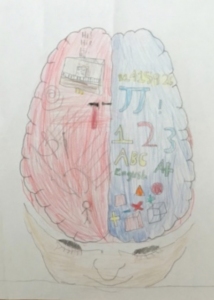 Brain Systems Drawing