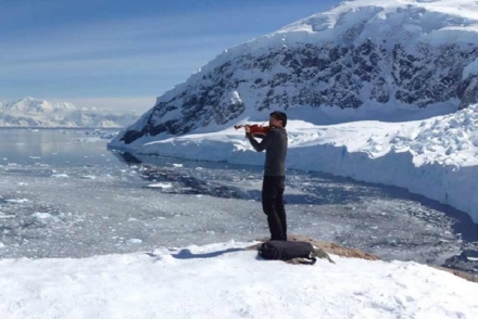 Dan Zhu, violin